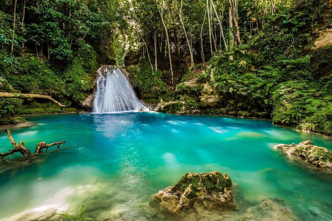Private Tour To Blue Hole and Dunn’s River from Montego Bay - Is the Montego Bay to Blue Hole and Dunn’s River Tour Worth Booking?