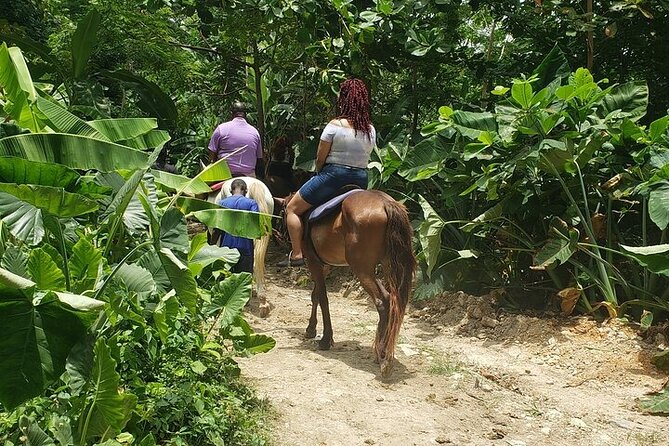 Private Tour to Dunns River and Horseback Riding with Local Guide - Climbing Dunns River Falls one step at a time