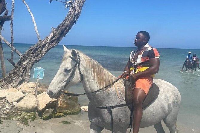 Private Tour to Dunns River and Horseback Riding with Local Guide - Green’s local touch on the road