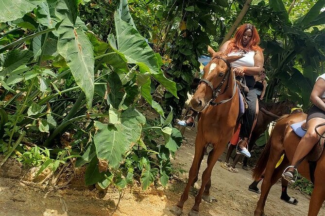 Private Tour to Dunns River and Horseback Riding with Local Guide - Who should book this experience