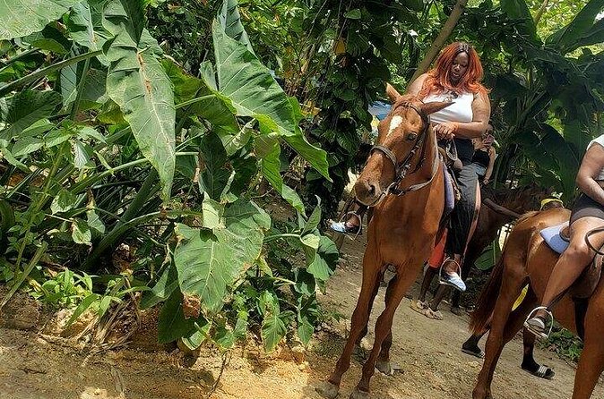 Private Tour to Dunns River and Horseback Riding with Local Guide - Booking details and practical planning