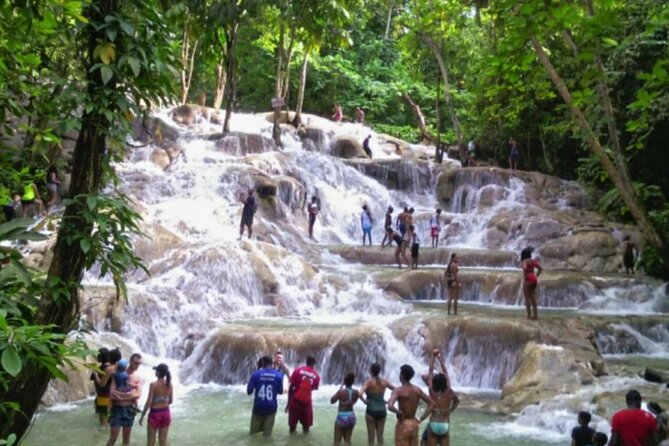 Private Tour to Dunns River and Horseback Riding with Local Guide - A slower ride along the Jamaican coast