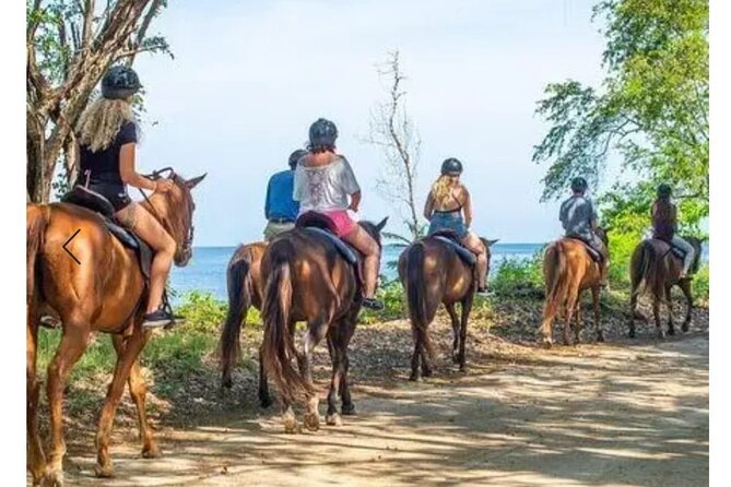 Private Transport and Airport Transfer in Montego Bay - A simple landing in Montego Bay
