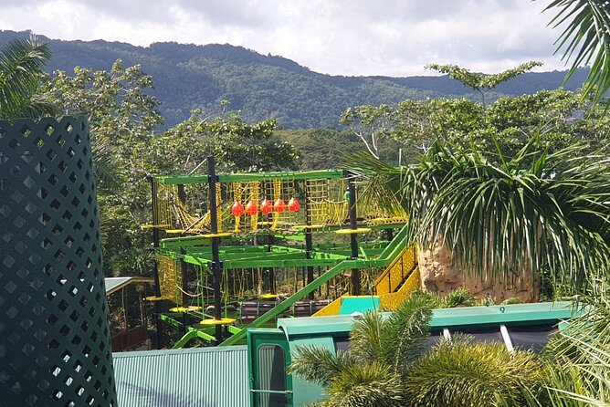 Private Transportation from Montego Bay to Mystic Mountain and Dunn's River Fall - Mystic Mountain: rides above the forest