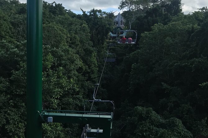 Private Transportation from Montego Bay to Mystic Mountain and Dunn's River Fall - What your driver adds to the day