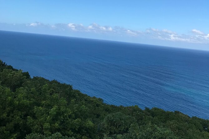 Private Transportation from Montego Bay to Mystic Mountain and Dunn's River Fall - How the $98 price works in practice