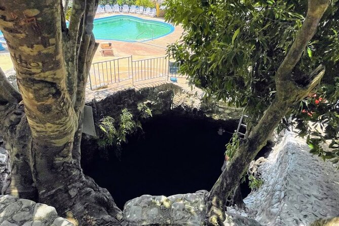 Private Trip to Blue Hole Mineral Springs, Negril & Ricks Café - The mineral clay scrub