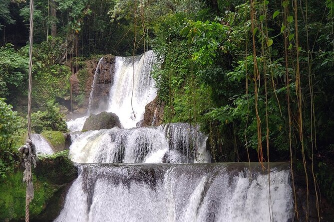 [PRIVATE] YS Falls, Black River, Pelican Bar - Entrance & Lunch - Pelican Bar: a drink on a sandbar