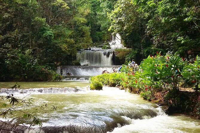 [PRIVATE] YS Falls, Black River, Pelican Bar - Entrance & Lunch - The guide can make or break the long drive