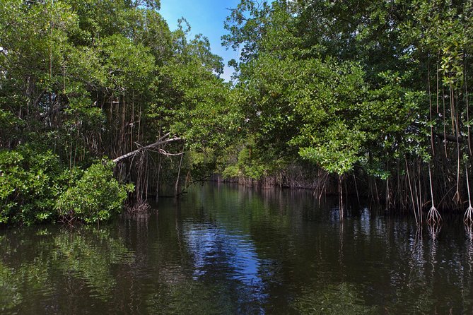 [PRIVATE] YS Falls, Black River, Pelican Bar - Entrance & Lunch - Booking and cancellation details