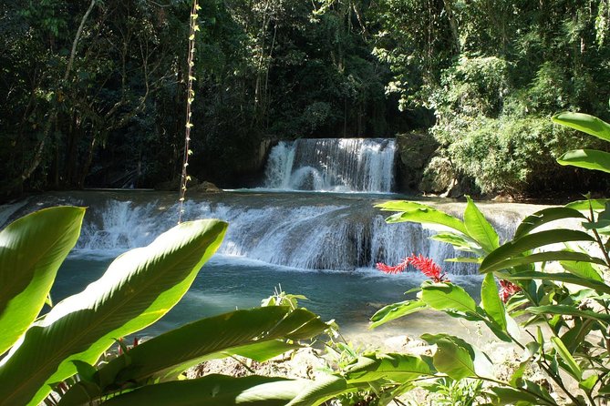 [PRIVATE] YS Falls from Negril - Entrance fees + Lunch Included - The tractor-pulled ride through the estate