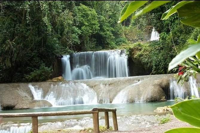 Private YS Falls Tour from Montego Bay - Guide service and the personal feel