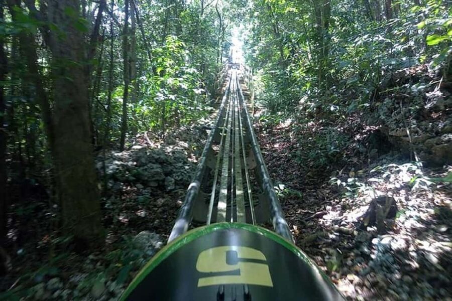 Rainforest Bobsled Mystic Mountain transportation - Booking advice and final verdict