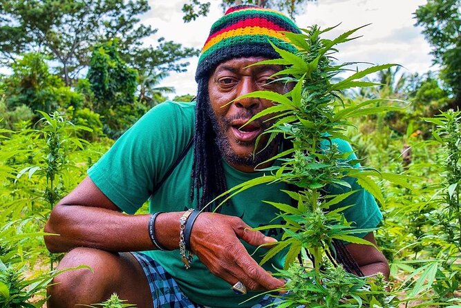 Rastafari Cultural ATV Community Experience from Montego Bay - What makes this rural Jamaica tour worth considering