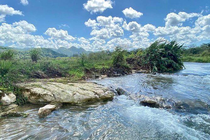 Rastafari Cultural ATV Community Experience from Montego Bay - Fruit tasting and the ganja farm visit