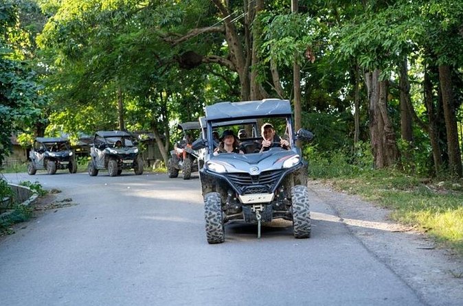 Rastafari Cultural ATV Community Experience from Negril - Fresh fruit, plants, and local knowledge
