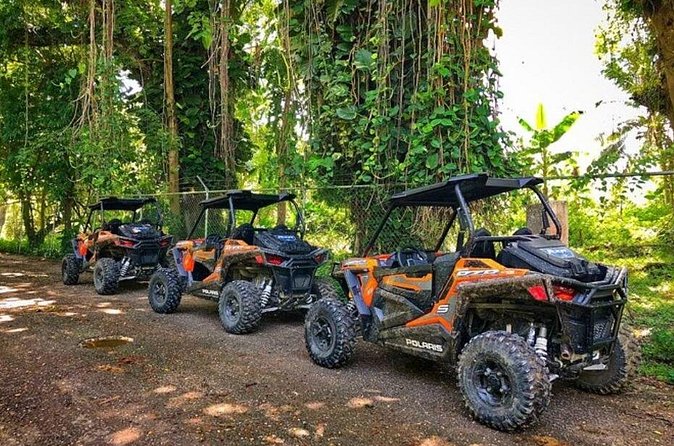 Rastafari Cultural ATV Community Experience from Negril - Lunch, music, and a taste of Rasta hospitality