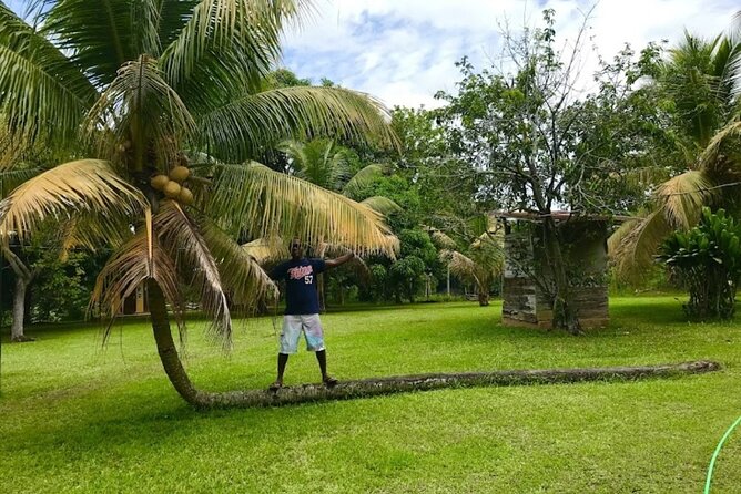 Rastasafari Experience ATV Adventure and Local Day Out - Who will enjoy this day most
