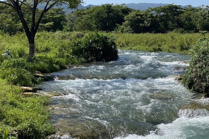 Rastasafari Experience ATV Adventure and Local Day Out - Meeting the Rasta community in Roaring River