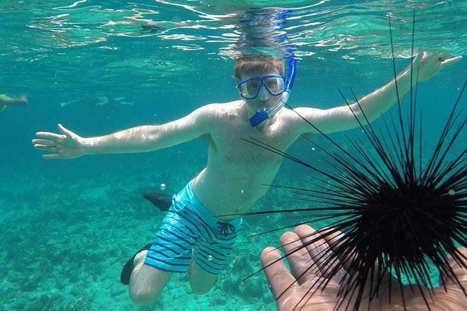 Rick's Cafe Sunset Cruise and Snorkelling - Key points at a glance