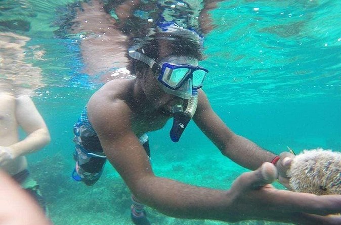 Rick's Cafe Sunset Cruise and Snorkelling - Is Captain Jace’s sunset cruise worth booking?