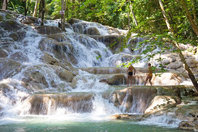 Rio Nuevo Bamboo River Rafting & Dunn's River Falls - Floating through the Rio Nuevo forest