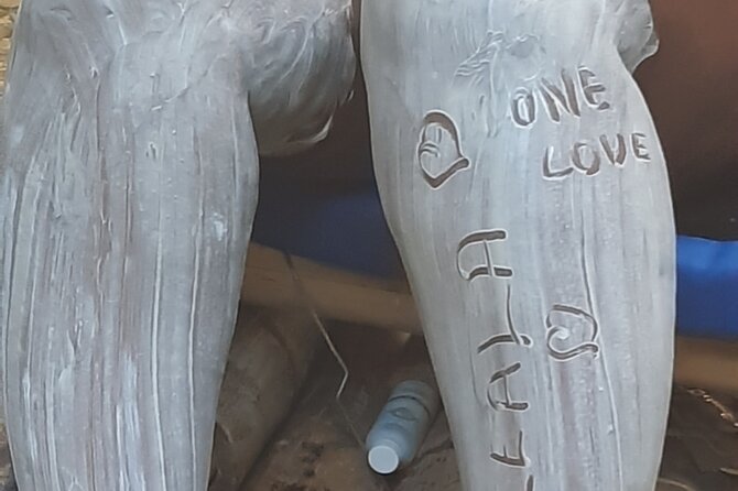River Rafting Limestone Massage and Shopping Tour in Montego bay - Omar and the personal side of PonTime Tours