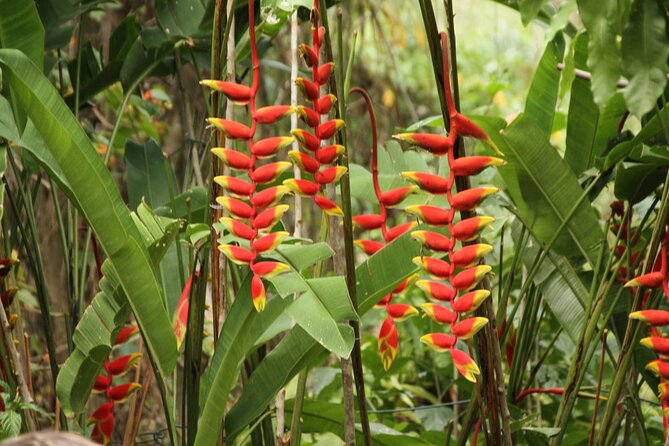 Rockland Bird Sanctuary plus Montego Bay Highlights & Shopping Private Tour - Is $123 per person a fair price?