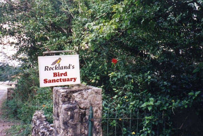 Rockland Bird Sanctuary Private Tour - Why the hummingbirds make this visit special