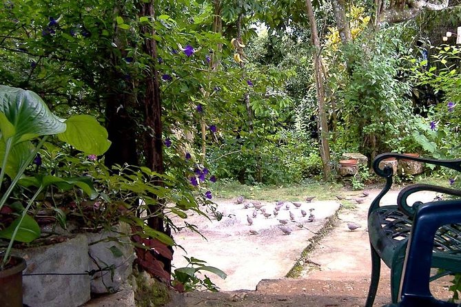 Rockland Bird Sanctuary Private Tour - The two-hour sanctuary visit