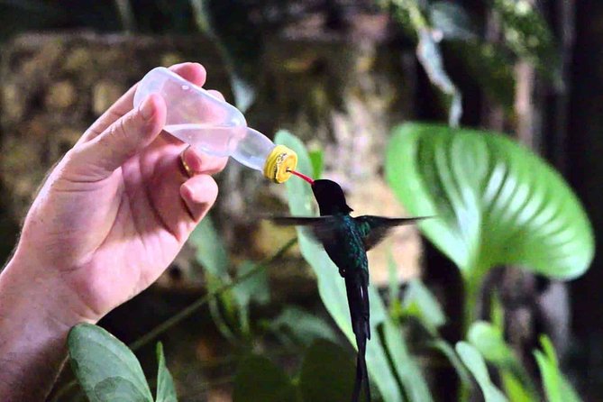 Rockland Bird Sanctuary Private Tour - The price and what you get for $97.44