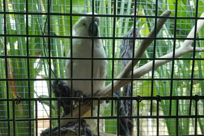 Rockland Bird Sanctuary Private Tour - Who will enjoy Rocklands most
