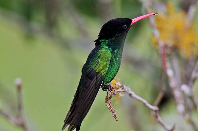 Rockland Bird Sanctuary Private Tour - Practical details before you book