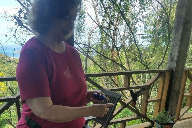Rockland Bird Sanctuary Private Tour - How this compares with a standard sightseeing stop