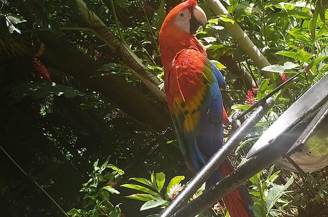 Rockland Bird Sanctuary Tour [Transportation] Hotel Pick-Up - Is $69.90 a good value?