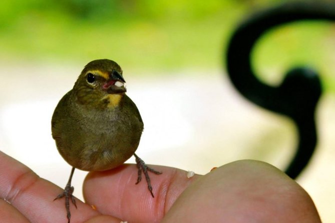 Rocklands Bird Sanctuary & City Highlights plus Shopping from Montego Bay - Sam Sharpe Square is a quick city introduction