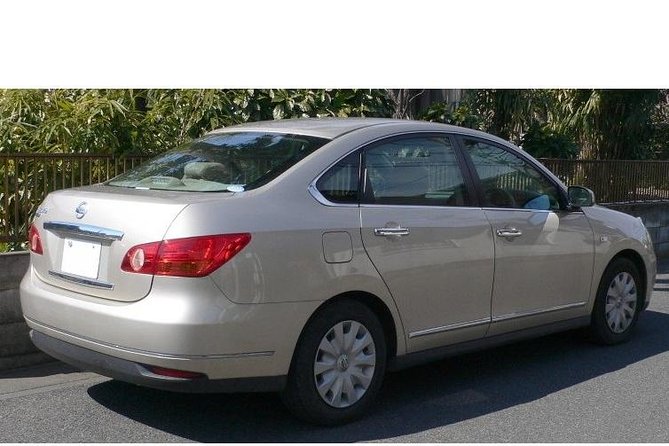 Sandals South Coast Private Transfers from Montego Bay Airport - Why the drivers shape the experience