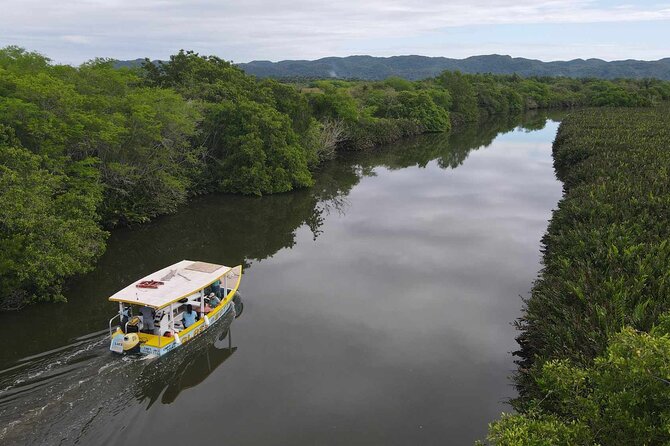 Scenic & Historical Nature Boat Safari Up the Negril River - Key points to know before booking