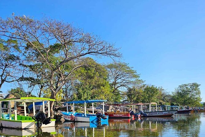 Scenic & Historical Nature Boat Safari Up the Negril River - Wildlife in the Royal Palm Reserve