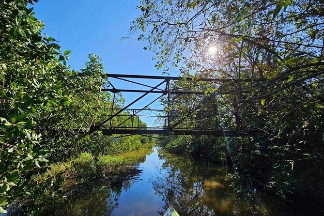 Scenic & Historical Nature Boat Safari Up the Negril River - Is $65 a fair price?