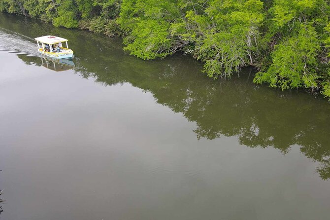 Scenic & Historical Nature Boat Safari Up the Negril River - Who will enjoy this river safari most?