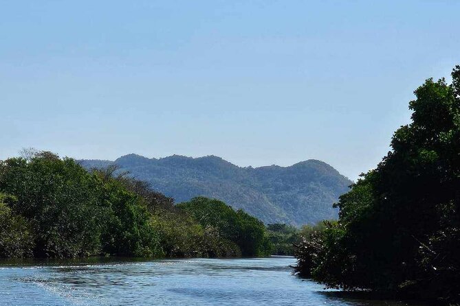 Scenic & Historical Nature Boat Safari Up the Negril River - A glass-bottom look before the river