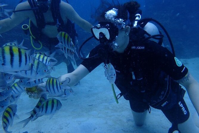 Scuba Diving and shopping on the Hipstrip. - One open-water session brings the coral and fish into view
