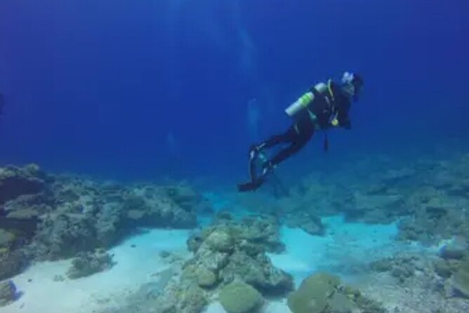 Scuba Diving and shopping on the Hipstrip. - Hotel, villa, or Airbnb pickup keeps the morning simple