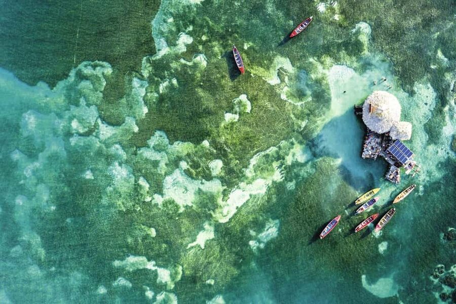 Shared or Private FD Appleton Rum, YS Falls & Pelican Bar - Key points to know before booking