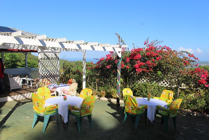 Skip the Line: Ahhh Ras Natango Gallery and Garden Admission Tickets - Meeting the red-billed streamertail hummingbirds