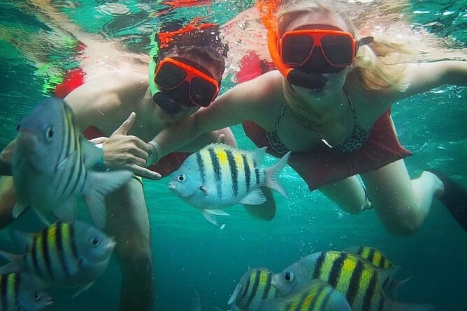 Snorkeling and Shopping in Montego Bay with Hotel pickup - A short swim with two very different Montego Bay stops