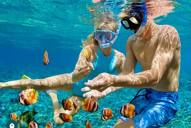 Snorkeling and Shopping in Montego Bay with Hotel pickup - How the $85 price measures up