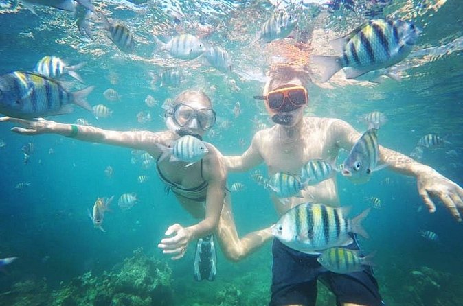 Snorkeling and Shopping in Montego Bay with Hotel pickup - The praise is strongest for the actual snorkeling