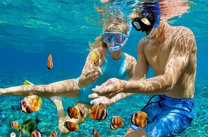 Snorkeling and Shopping in Montego Bay with Hotel pickup - Who should book this experience
